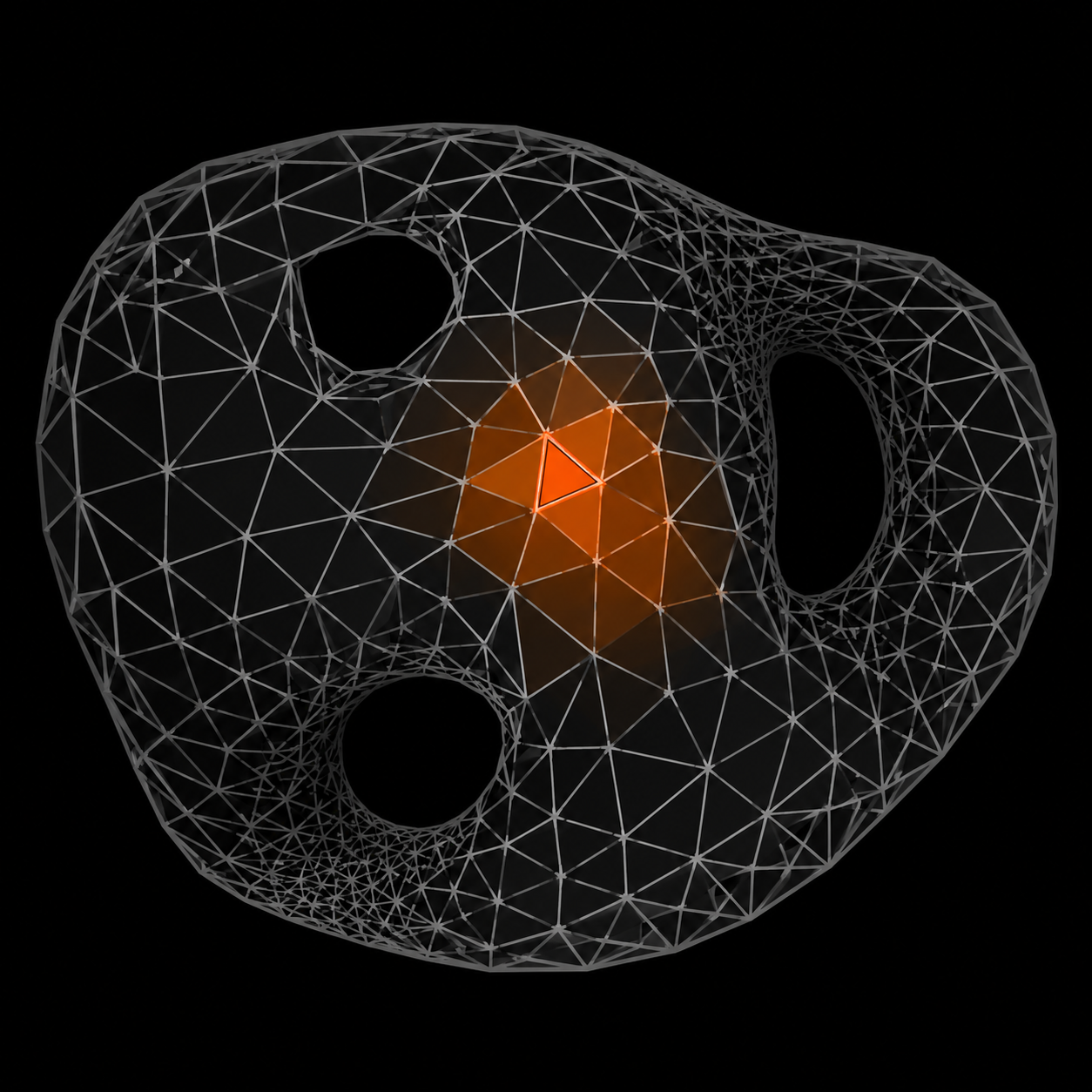 Time-mesh — time as topology